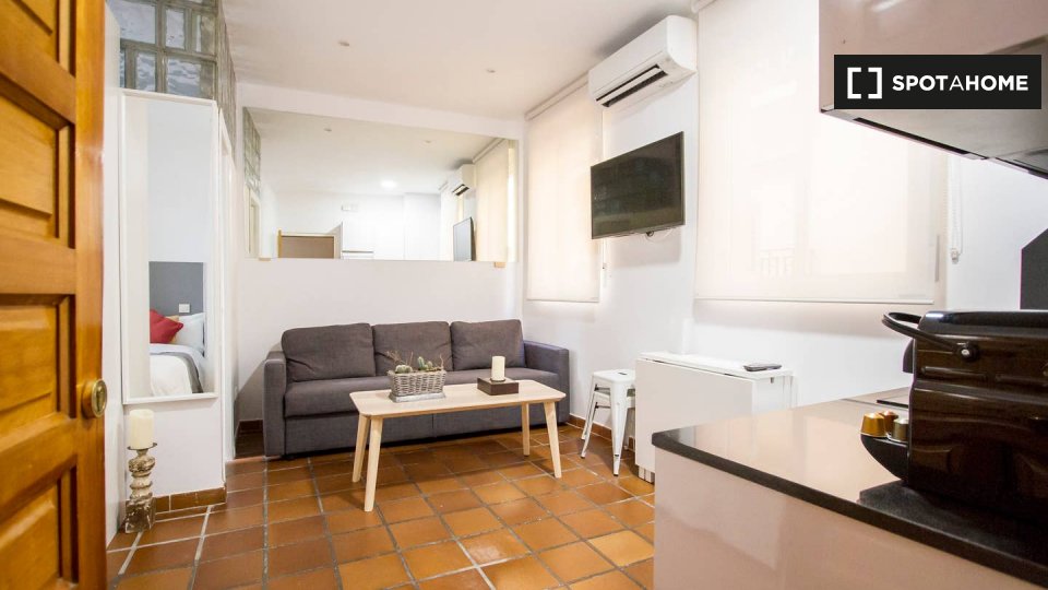Apartment mono Madrid — photo 1