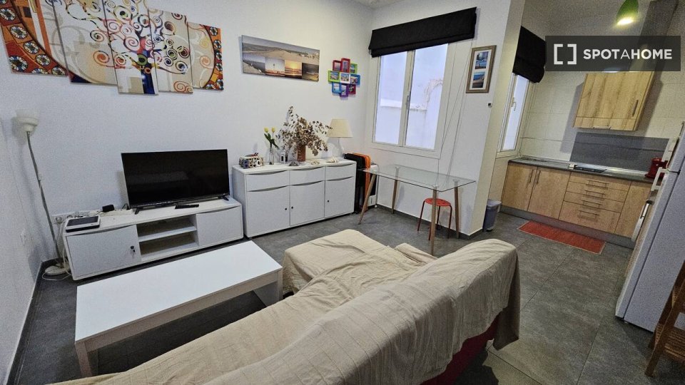 Apartment Cadiz, 1 bed — photo 14