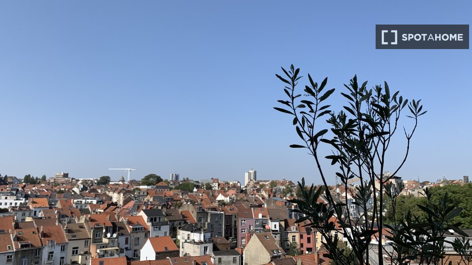 Apartment Brussels, 2 beds, 180m² — photo 4