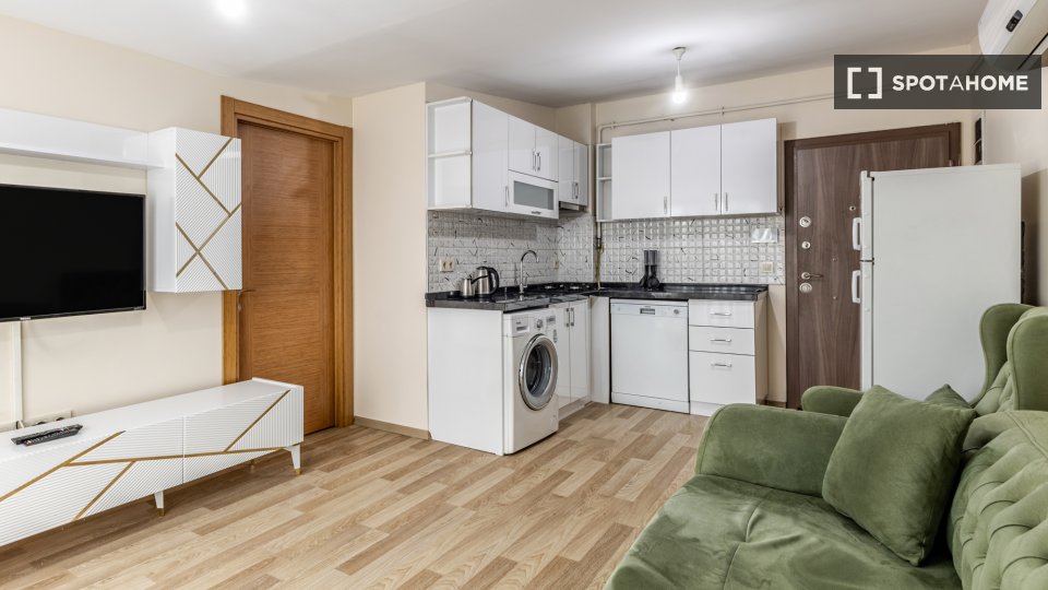 Apartment Istanbul, 1 bed — photo 13