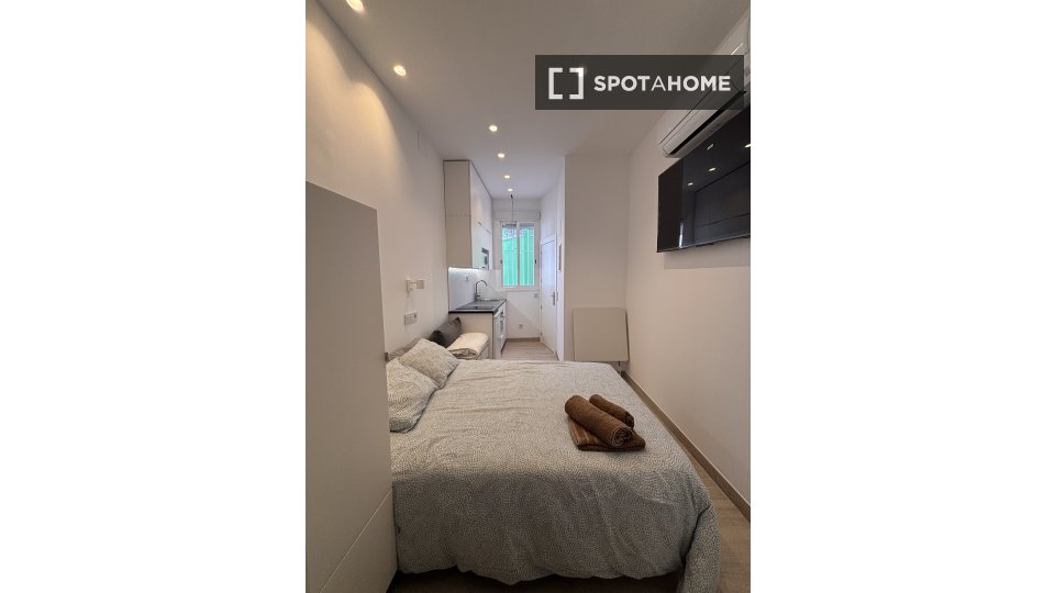 Apartment Madrid, 1 bed, 21m² — photo 11