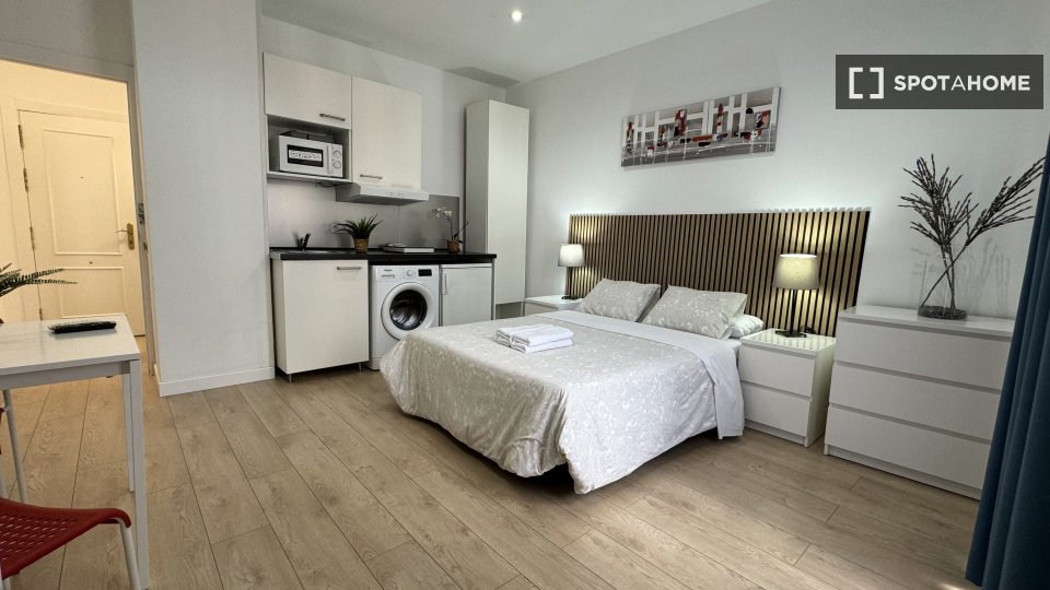 Apartment mono Madrid — photo 27