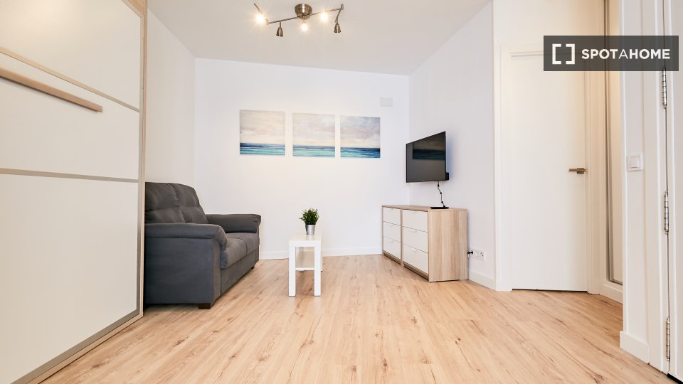 Apartment mono Madrid, 30m² — photo 8