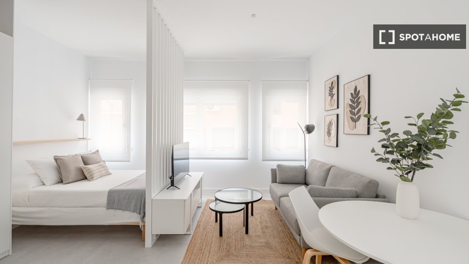 Apartment mono Madrid, 40m² — photo 8