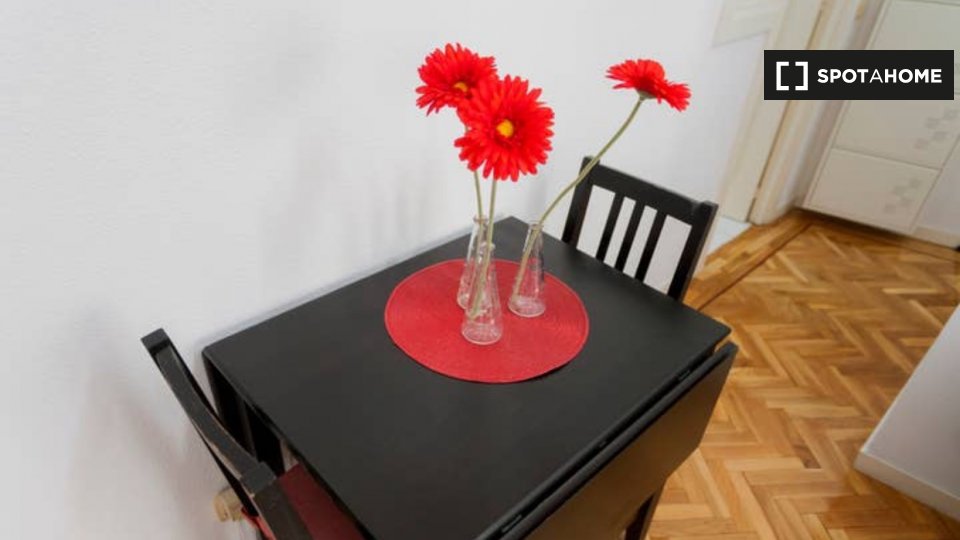 Apartment mono Madrid, 35m² — photo 9