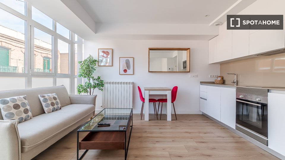 Apartment mono Madrid, 35m² — photo 6