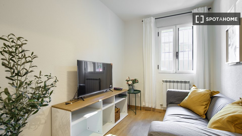 Apartment Madrid, 1 bed, 35m² — photo 37