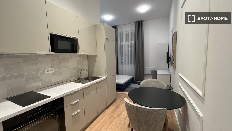 Apartment mono Budapest, 30m² — photo 6