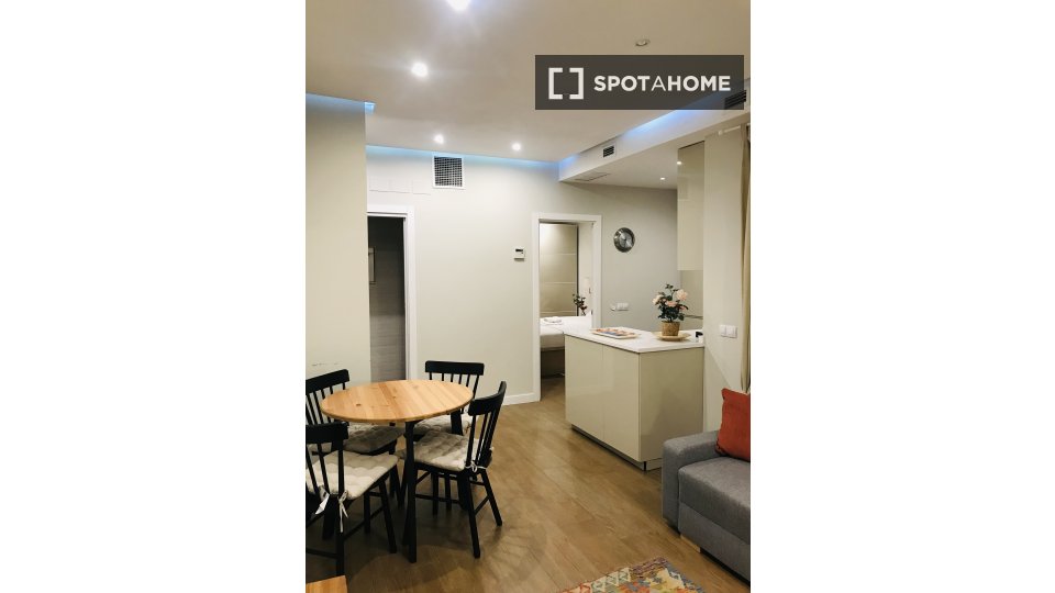 Apartment mono Madrid, 50m² — photo 12