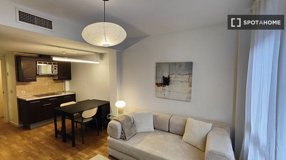 Apartment Madrid, 1 bed — photo 20