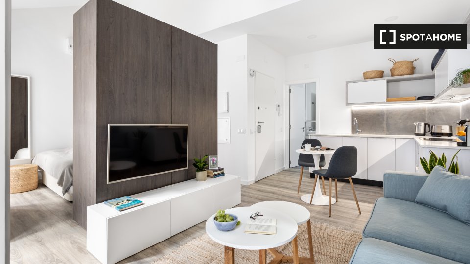 Apartment mono Lisbon — photo 4