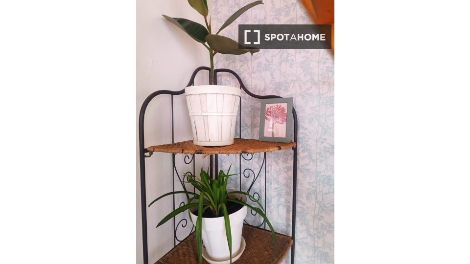 Apartment mono Madrid, 30m² — photo 13
