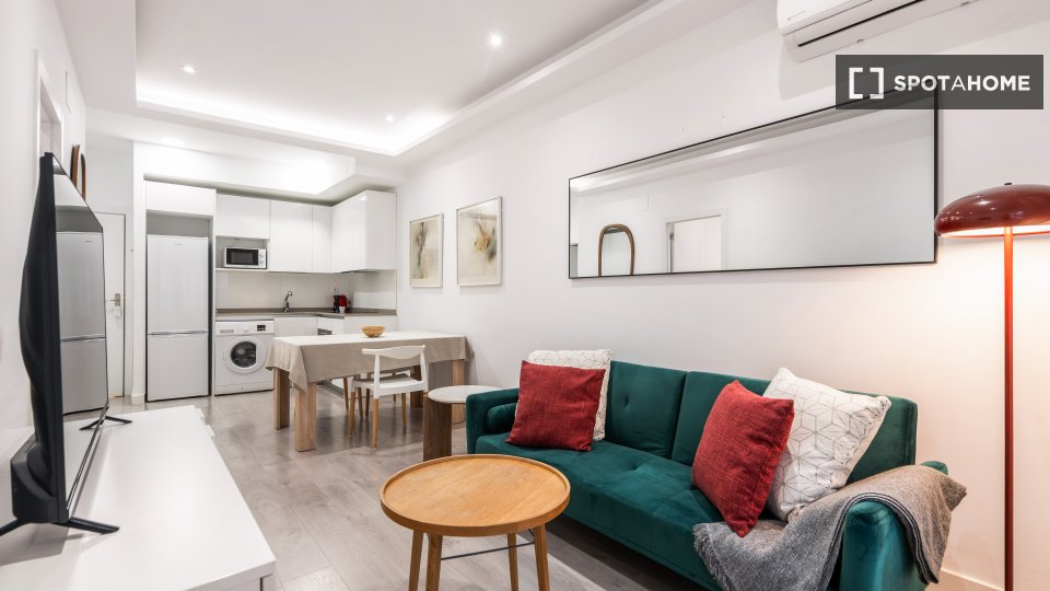 Apartment mono Madrid — photo 5
