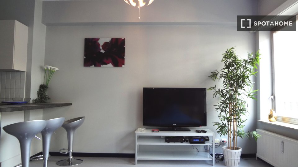 Apartment Brussels, 1 bed, 35m² — photo 2