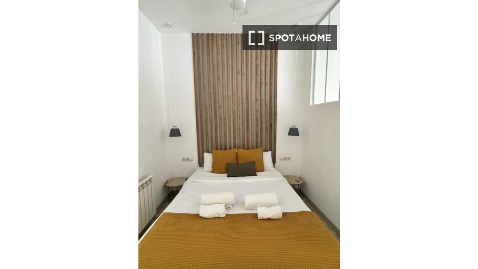 Apartment Madrid, 1 bed — photo 4