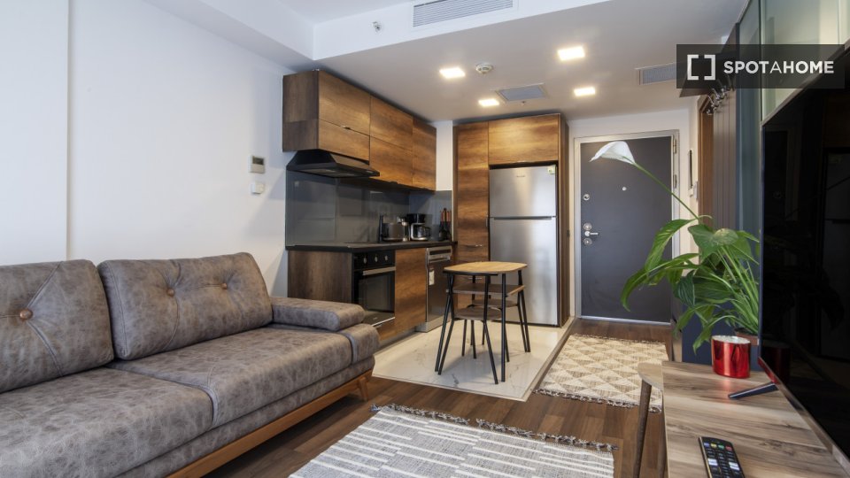 Apartment Istanbul, 1 bed — photo 4