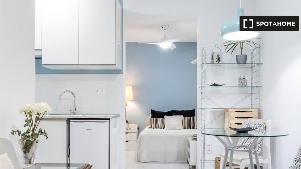 Apartment mono Madrid, 40m² — photo 13