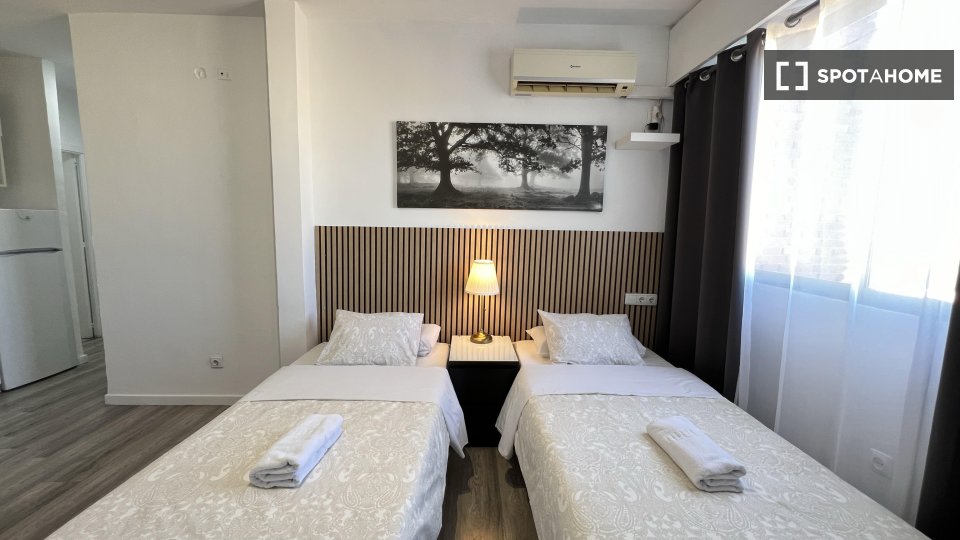 Apartment mono Madrid — photo 35