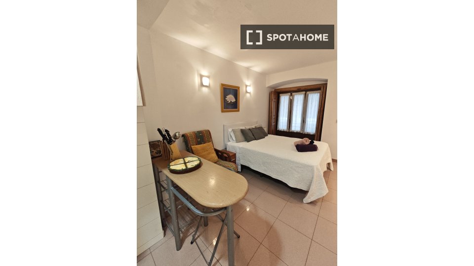 Apartment mono Madrid, 25m² — photo 48