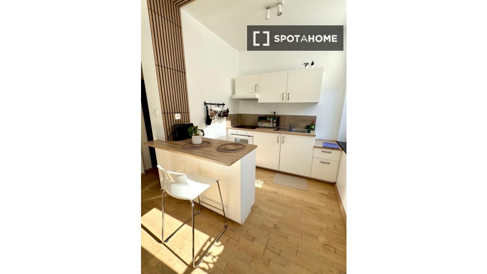 Apartment Liege, 1 bed, 43m² — photo 8