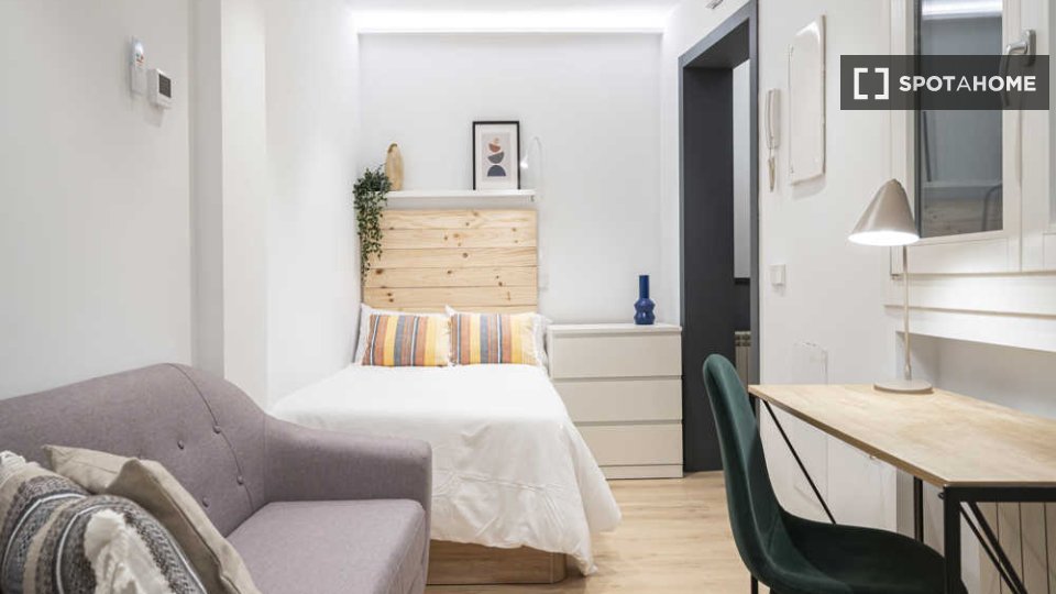 Double room Madrid, 1 bed — photo 31