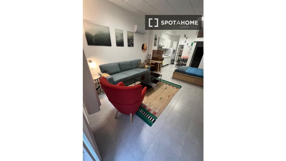 Apartment mono Madrid, 50m² — photo 8