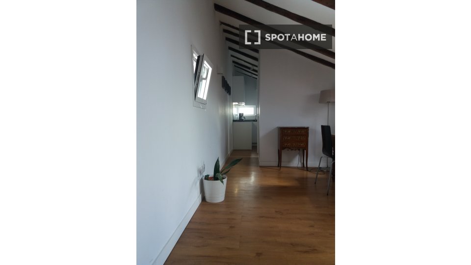 Apartment mono Madrid — photo 9
