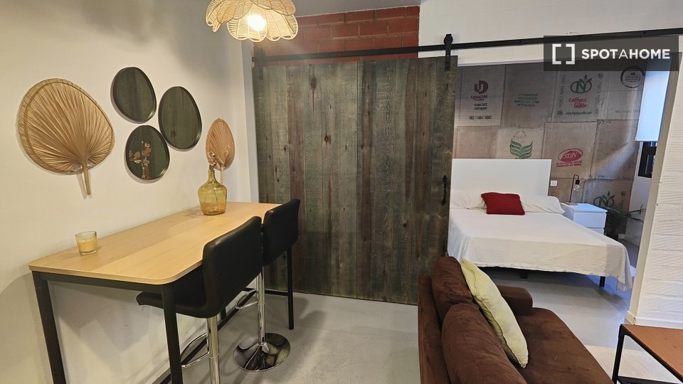 Apartment Madrid, 1 bed — photo 6
