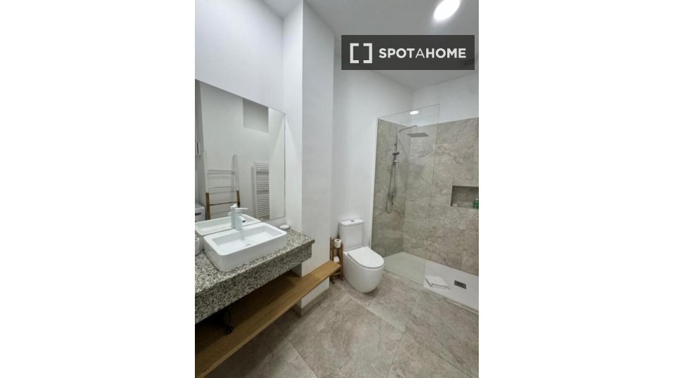 Apartment Madrid, 1 bed — photo 9