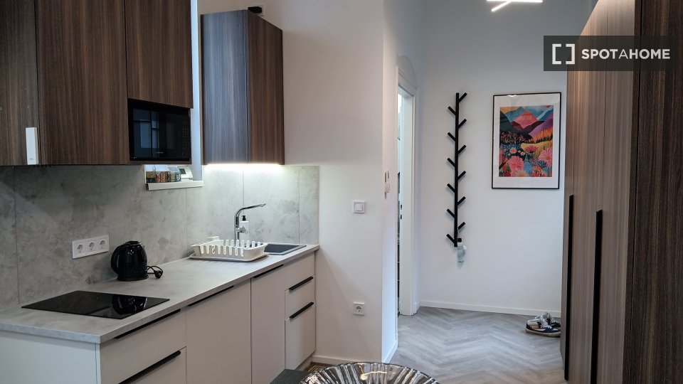 Apartment mono Budapest, 26m² — photo 6