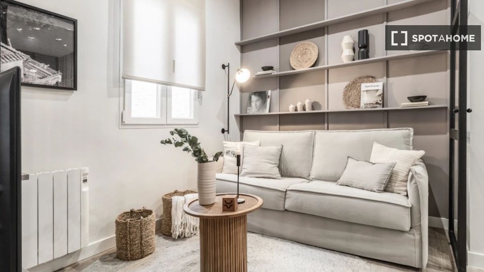 Apartment Madrid, 1 bed — photo 7