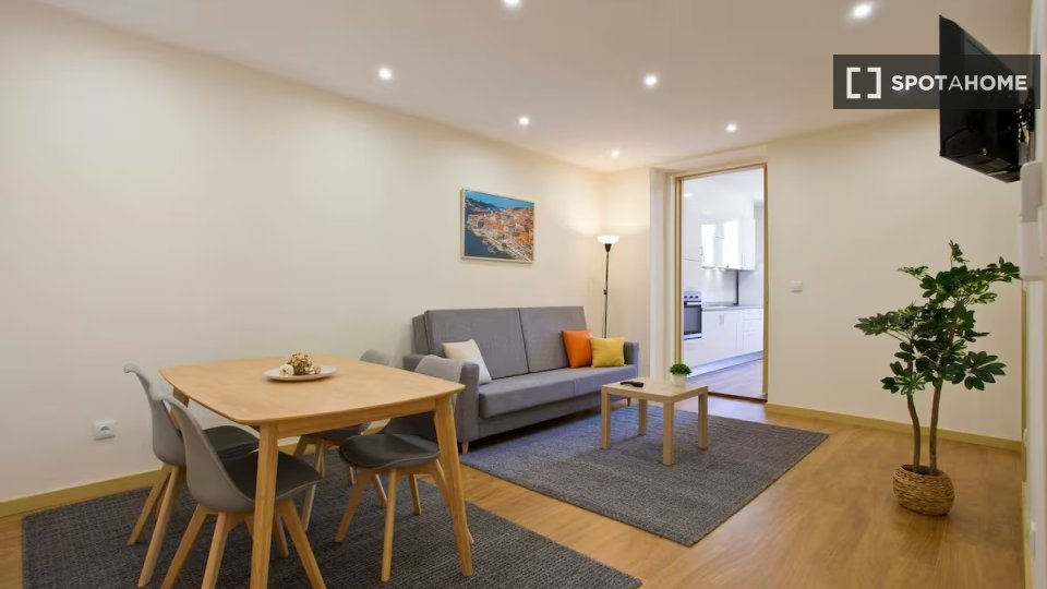Apartment Porto, 1 bed — photo 18