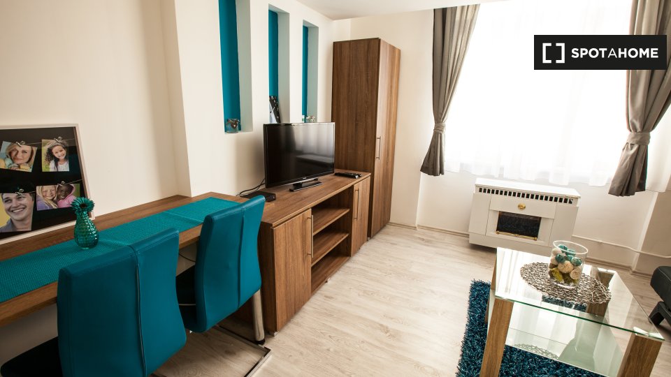 Apartment mono Budapest, 30m² — photo 6