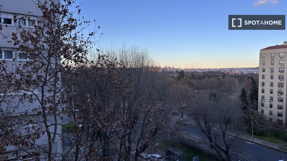 Double room Madrid, 5 beds, 110m² — photo 18