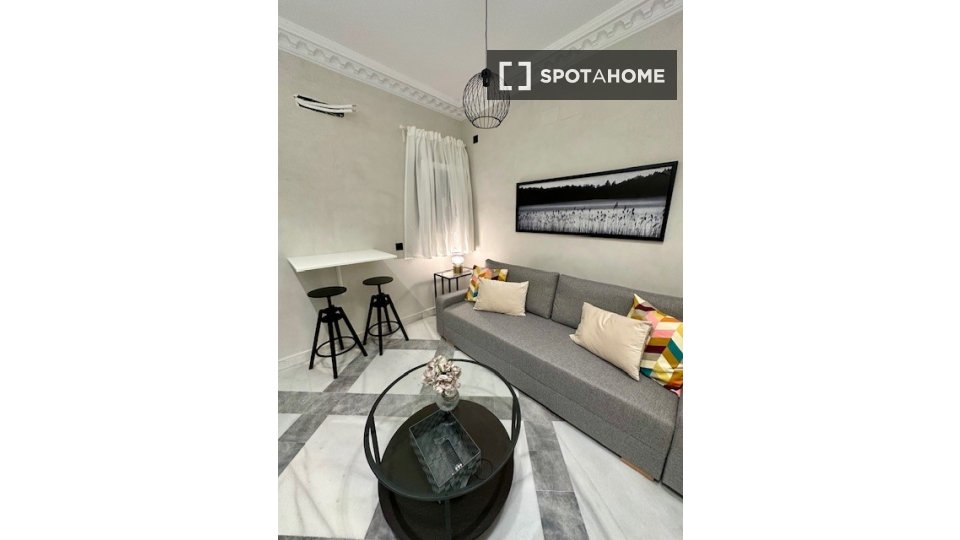 Apartment mono Madrid — photo 18