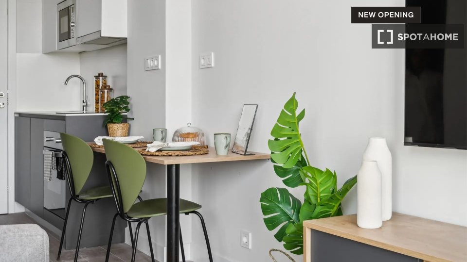 Apartment mono Madrid, 27m² — photo 9