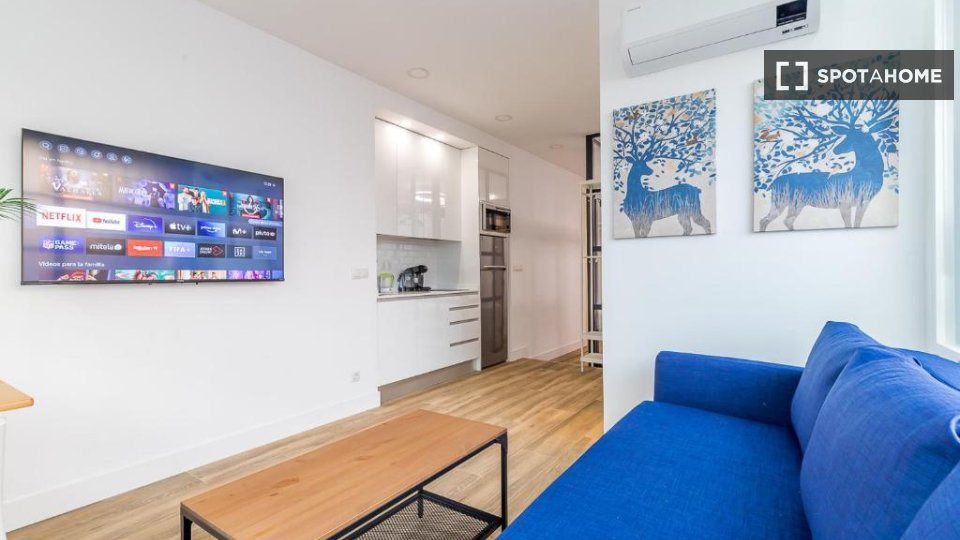 Apartment mono Madrid, 30m² — photo 19