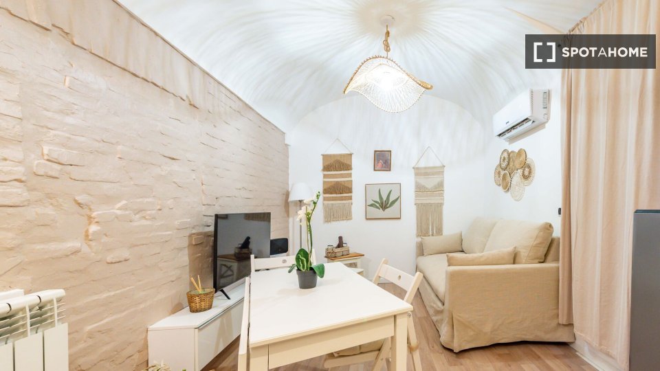 Appartamento Roma, 1 camera, 45m² — foto 14