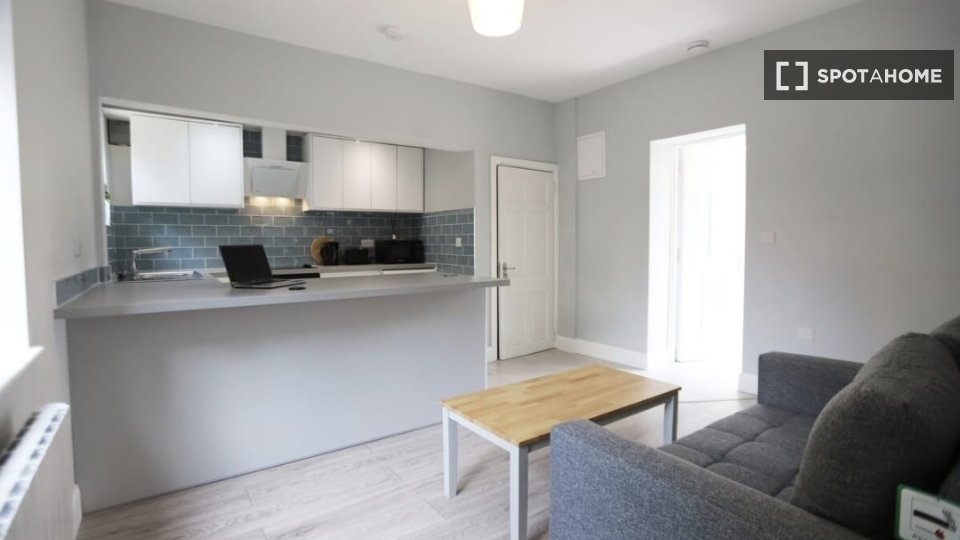 Apartment Dublin, 1 bed — photo 4