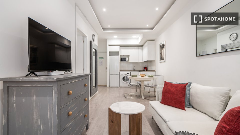Apartment mono Madrid, 45m² — photo 3