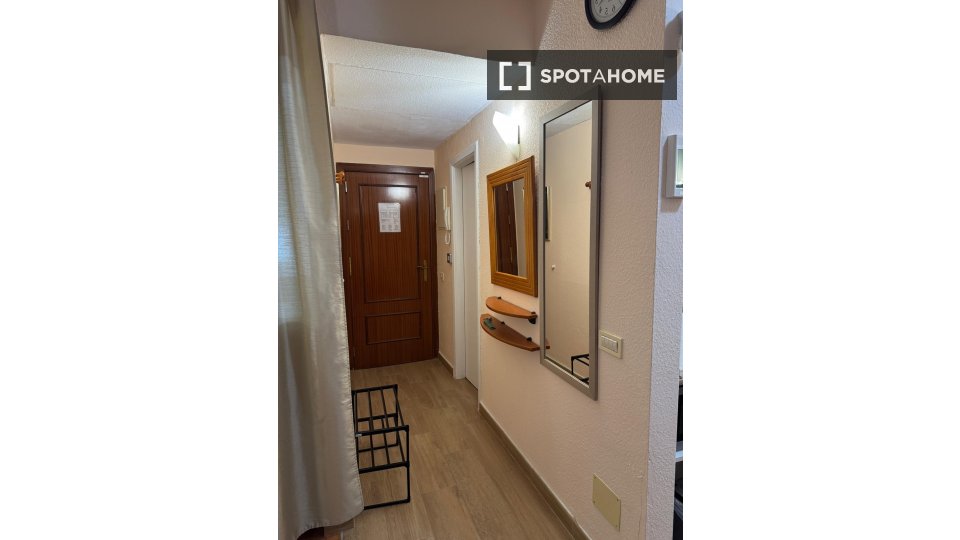 Apartment mono Santa_Cruz_De_Tenerife, 46m² — photo 7
