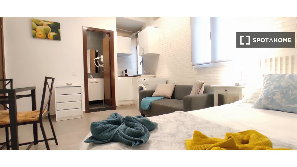 Apartment mono Madrid — photo 6