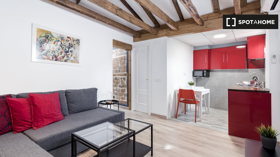 Apartment Madrid, 1 bed, 50m² — photo 6