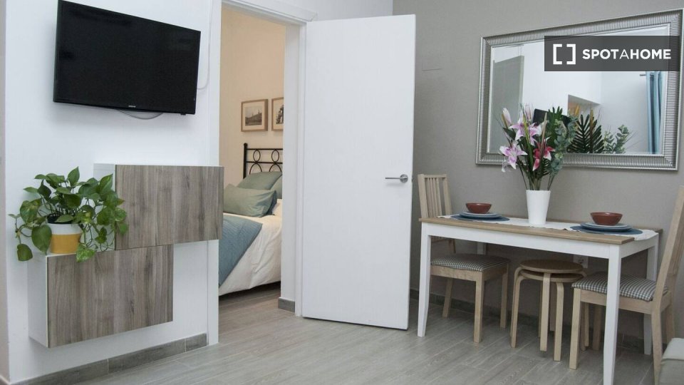 Apartment Madrid, 1 bed — photo 1
