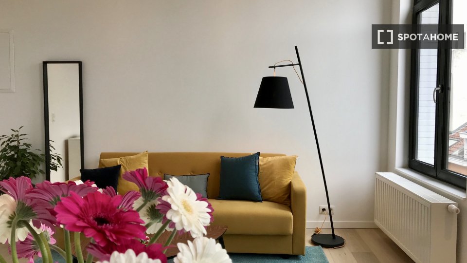 Apartment mono Brussels, 60m² — photo 6
