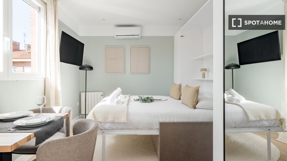 Apartment mono Madrid, 17m² — photo 8