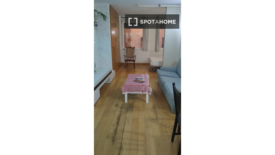 Apartment mono Madrid — photo 11