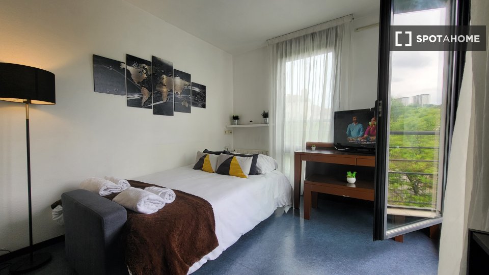 Apartment Lyon, 1 bed — photo 13