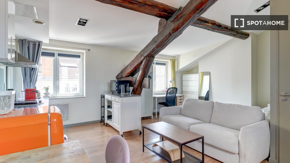 Appartamento Lione, 1 camera, 37m² — foto 9