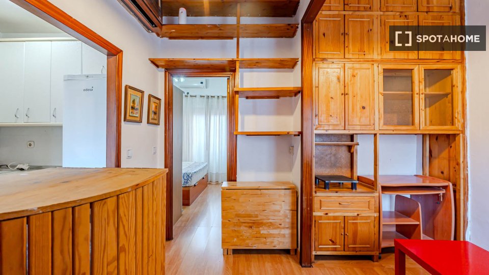 Apartment mono Madrid, 26m² — photo 4